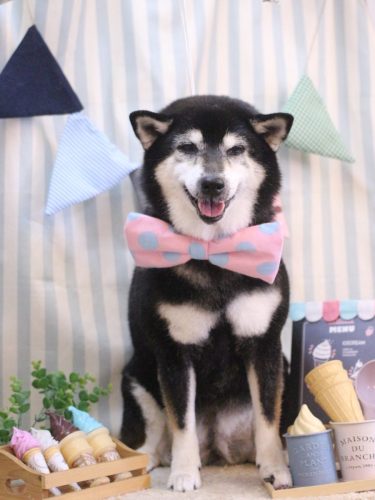 20250508ひめちゃん